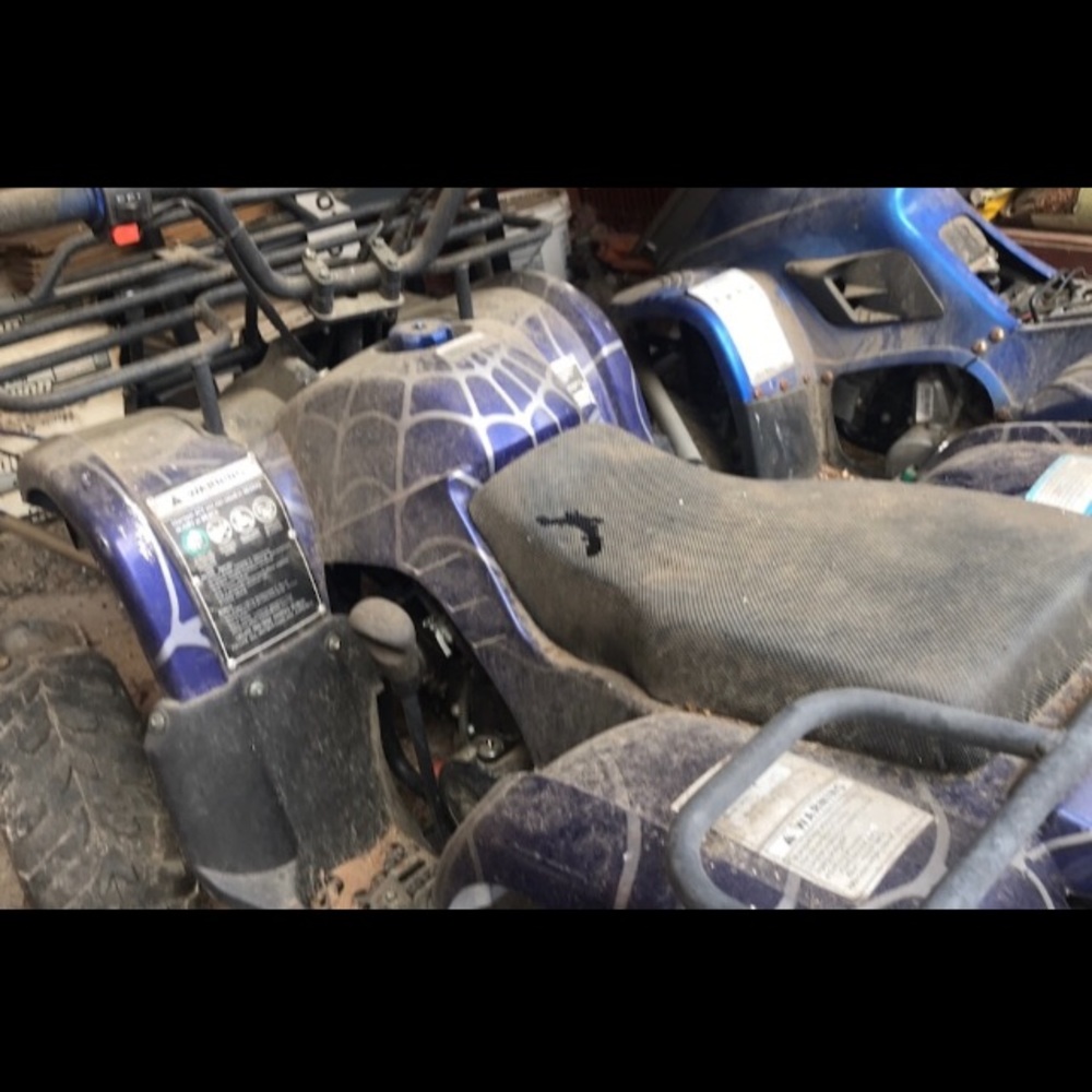 Quad - Picture 4 of 4